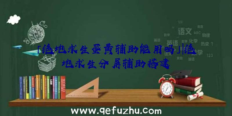 「绝地求生蛋黄辅助能用吗」|绝地求生分屏辅助搭建